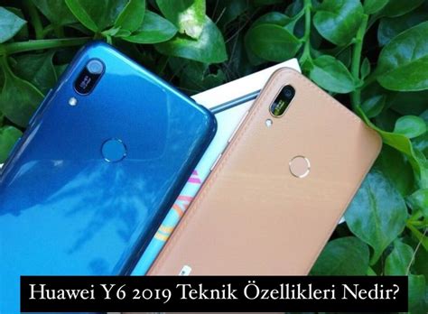 Huawei y6 2019 teknik özellikleri